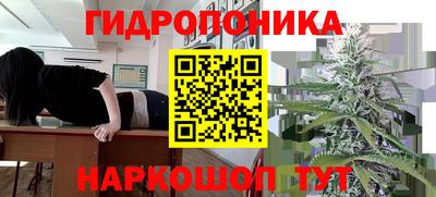 spice Тара