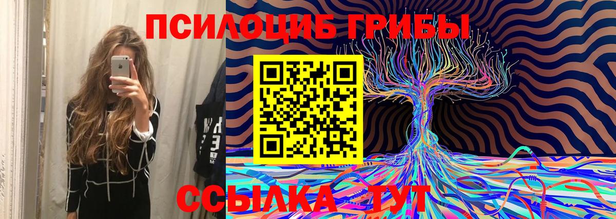 Малгобек  Псилоцибиновые грибы мицелий  Вход с VPN 